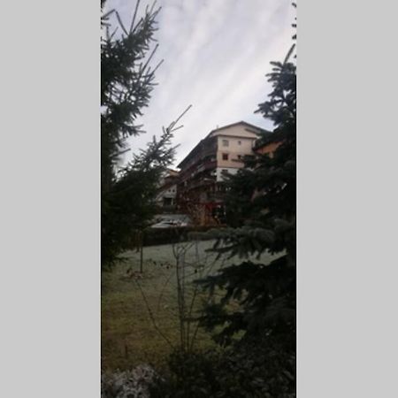 Large Vacation Apartment In Пояна-Брашов Экстерьер фото