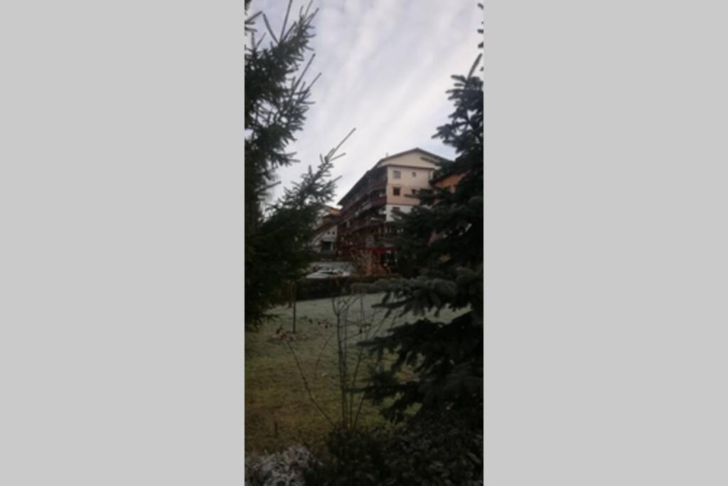 Large Vacation Apartment In Пояна-Брашов Экстерьер фото