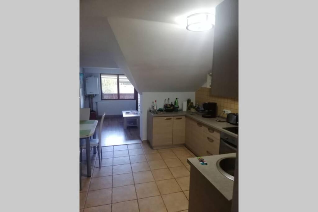 Large Vacation Apartment In Пояна-Брашов Экстерьер фото