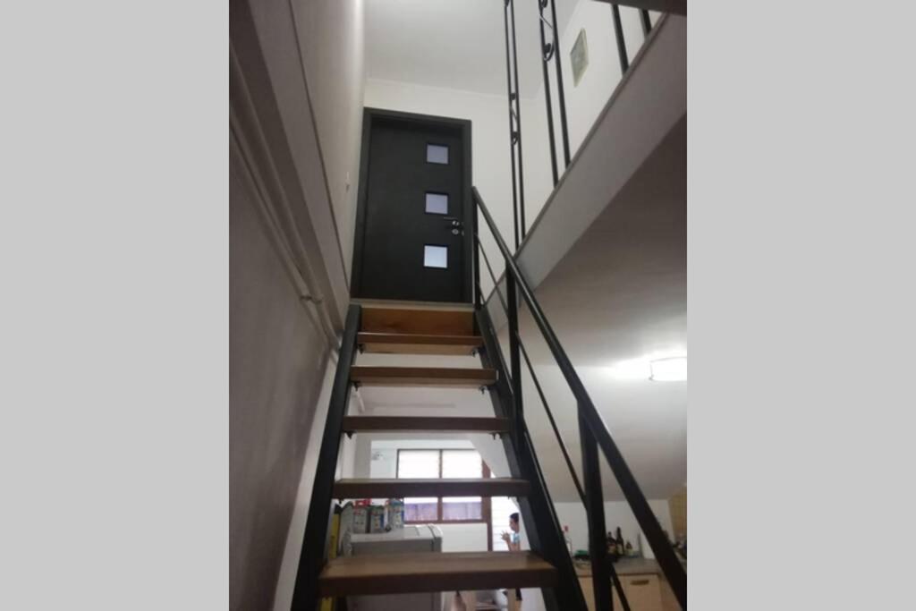Large Vacation Apartment In Пояна-Брашов Экстерьер фото