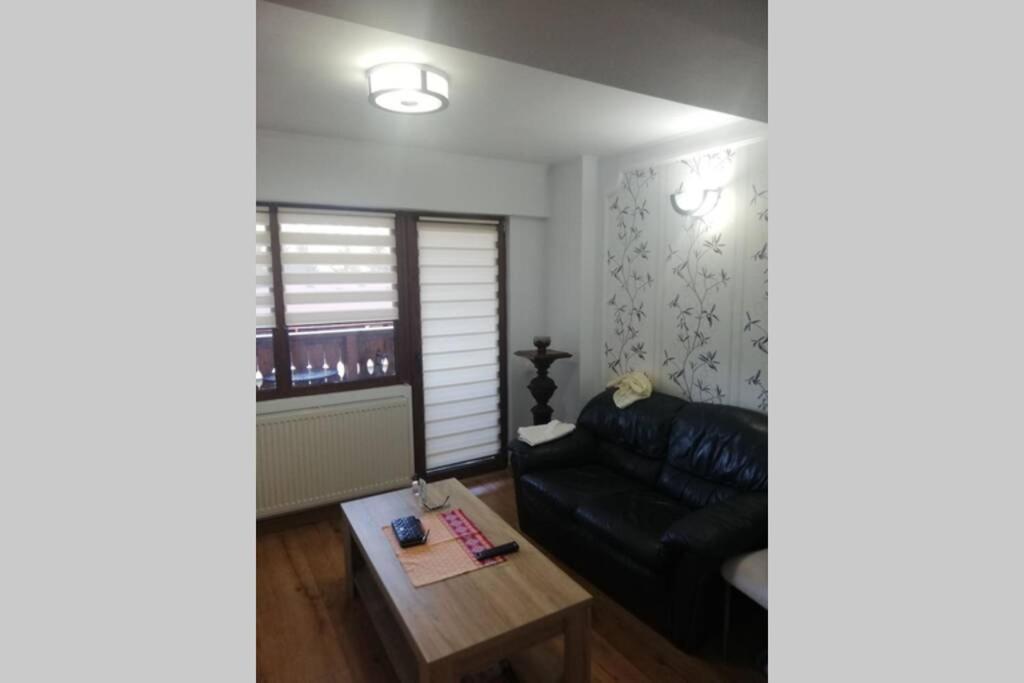 Large Vacation Apartment In Пояна-Брашов Экстерьер фото